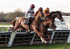 Pricedup Nov Hurdle
