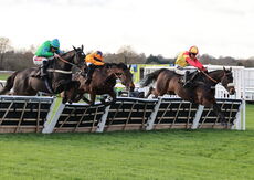 Pricedup Nov Hurdle