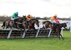 Pricedup Nov Hurdle