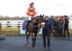 Pricedup Nov Hurdle