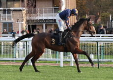 Hazelton Mountford Insurance  H'cap Chase