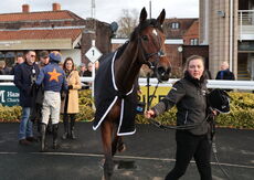 Hazelton Mountford Insurance  H'cap Chase