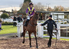 Denis O'Connell Memorial Handicap  Hurdle