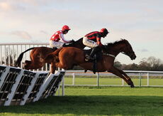 Denis O'Connell Memorial Handicap  Hurdle