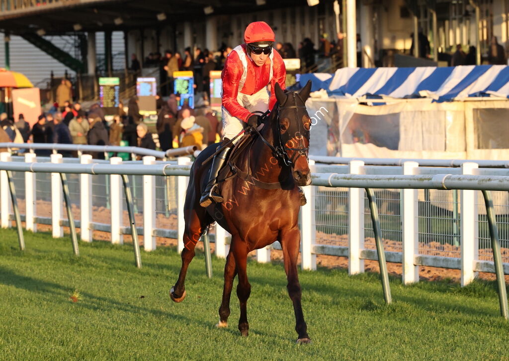 Pricedup Daily Sports Boosts H'cap Chase