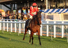 Pricedup Daily Sports Boosts H'cap Chase