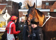 Pricedup Daily Sports Boosts H'cap Chase