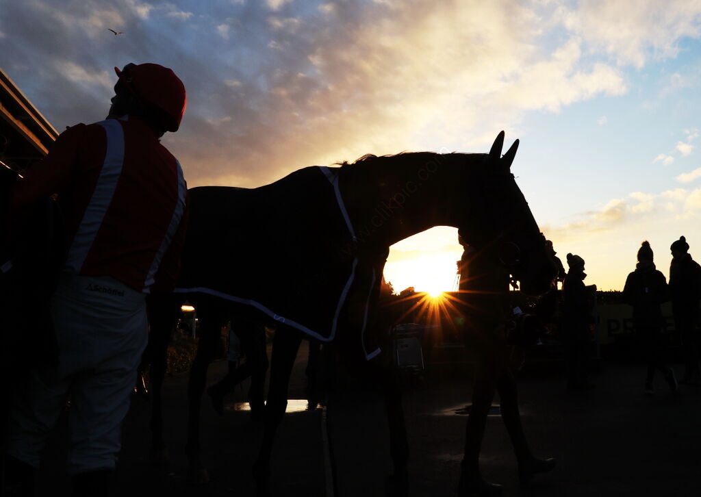 Pricedup Daily Sports Boosts H'cap Chase