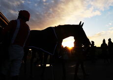 Pricedup Daily Sports Boosts H'cap Chase