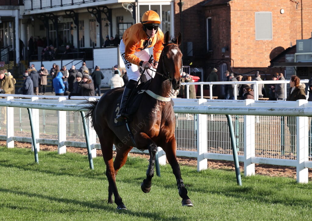 priced.bet EBF Fillies' Junior Hurdle