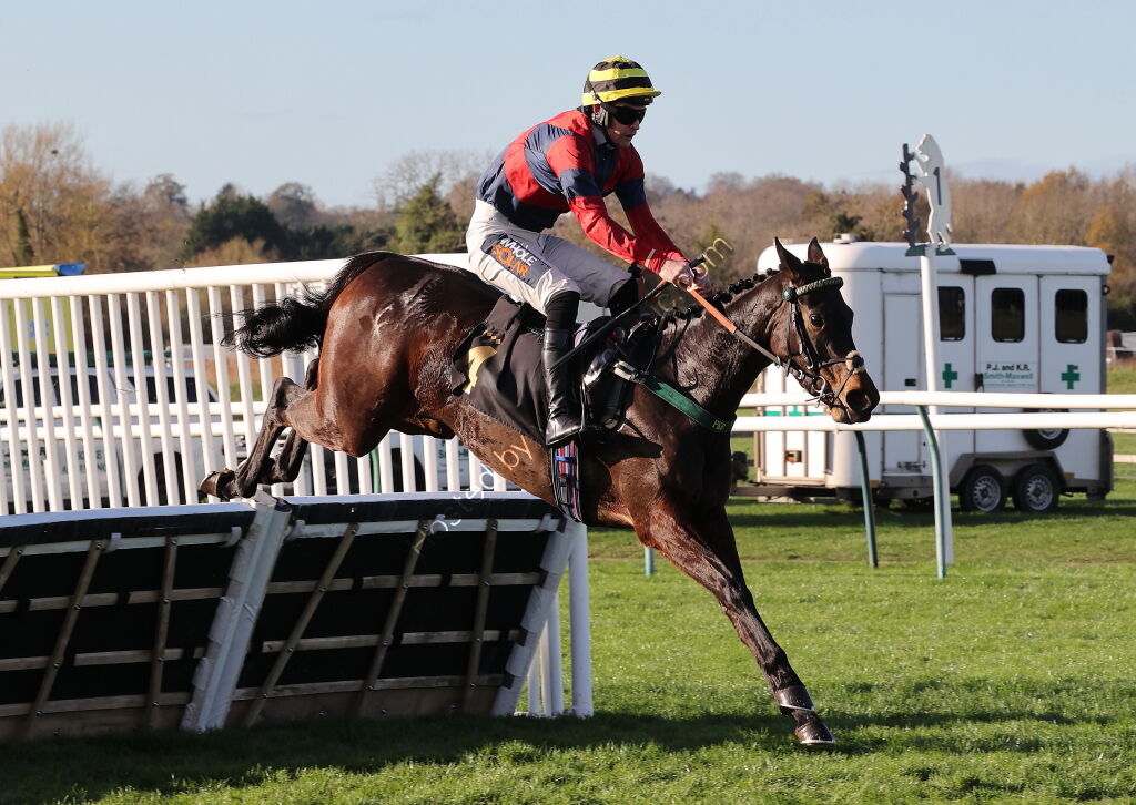 priced.bet EBF Fillies' Junior Hurdle