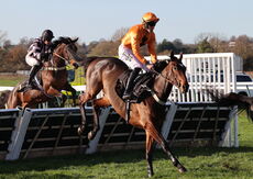 priced.bet EBF Fillies' Junior Hurdle