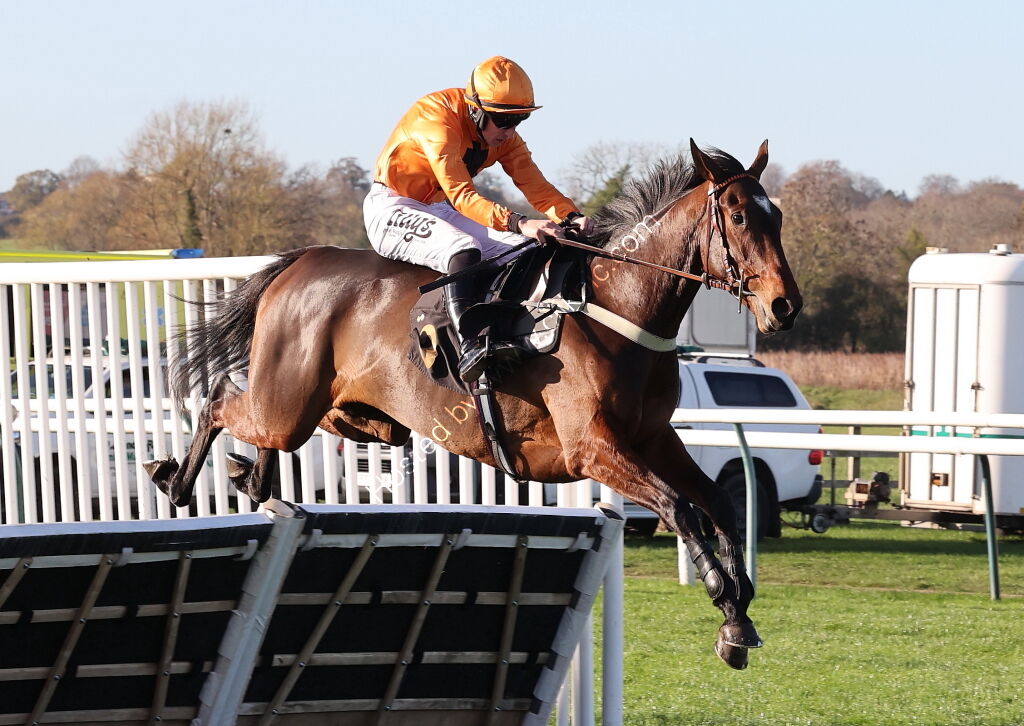 priced.bet EBF Fillies' Junior Hurdle