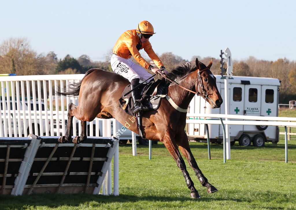 priced.bet EBF Fillies' Junior Hurdle