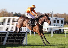 priced.bet EBF Fillies' Junior Hurdle