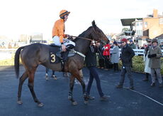 priced.bet EBF Fillies' Junior Hurdle