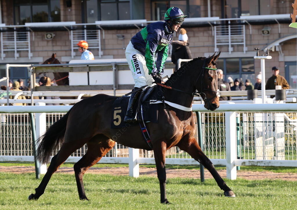 Chapel Stud Breeders' Day Mares' H'cap Hurdle