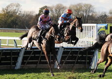 Chapel Stud Breeders' Day Mares' H'cap Hurdle