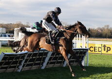 Chapel Stud Breeders' Day Mares' H'cap Hurdle