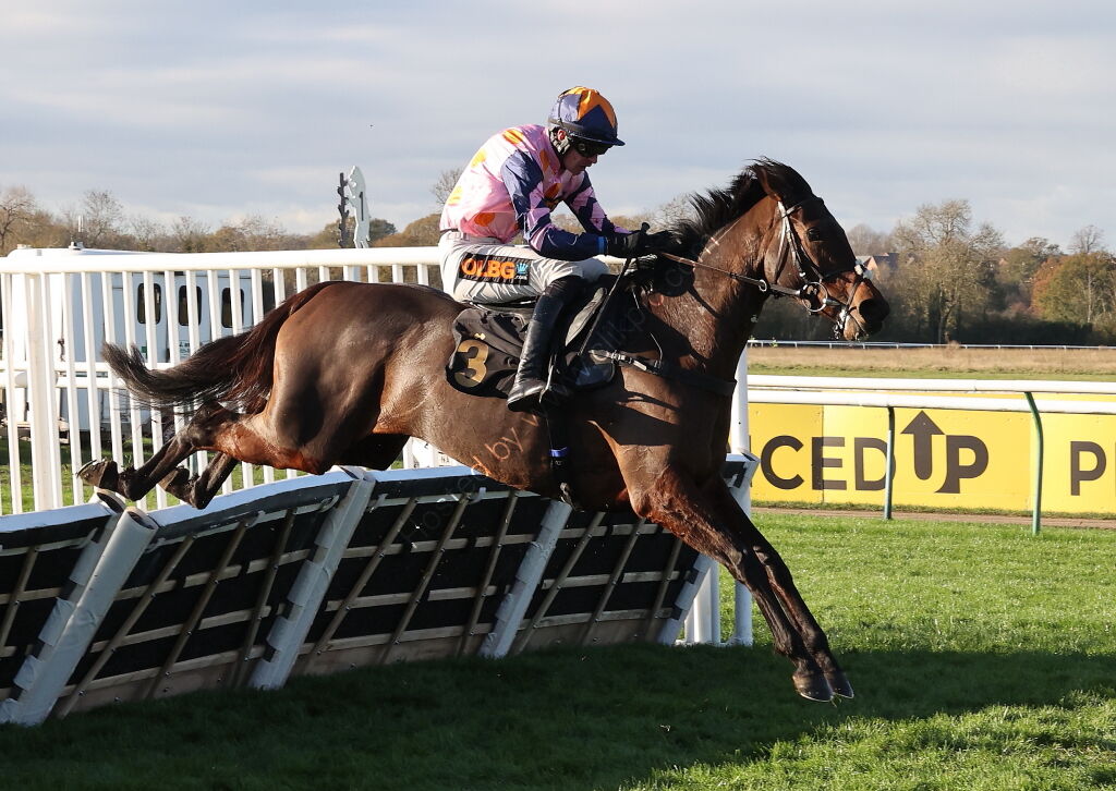 Chapel Stud Breeders' Day Mares' H'cap Hurdle