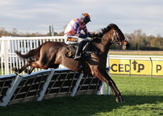 Chapel Stud Breeders' Day Mares' H'cap Hurdle