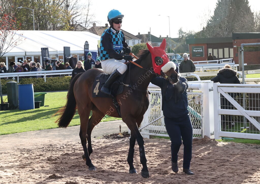 Warwick British Breeding Veterans' H'cap Chase