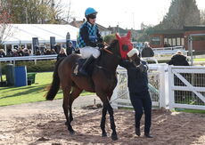 Warwick British Breeding Veterans' H'cap Chase