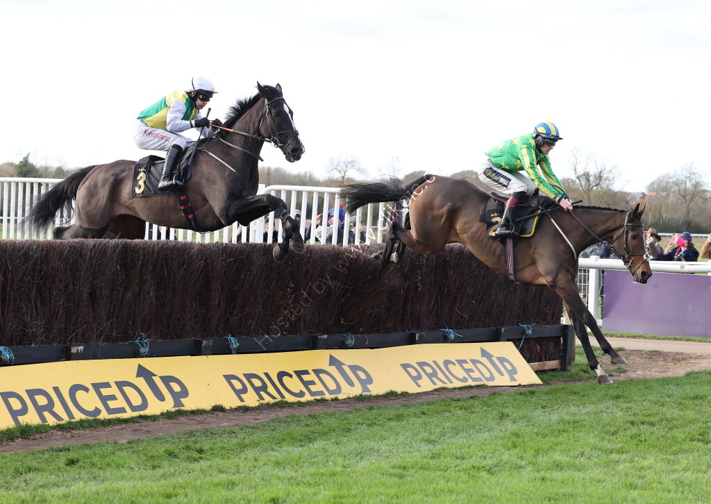 Warwick British Breeding Veterans' H'cap Chase