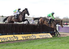 Warwick British Breeding Veterans' H'cap Chase