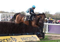 Warwick British Breeding Veterans' H'cap Chase