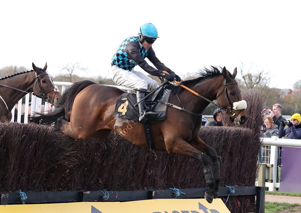 Warwick British Breeding Veterans' H'cap Chase