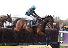 Warwick British Breeding Veterans' H'cap Chase