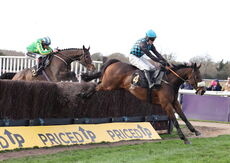 Warwick British Breeding Veterans' H'cap Chase