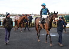 Warwick British Breeding Veterans' H'cap Chase