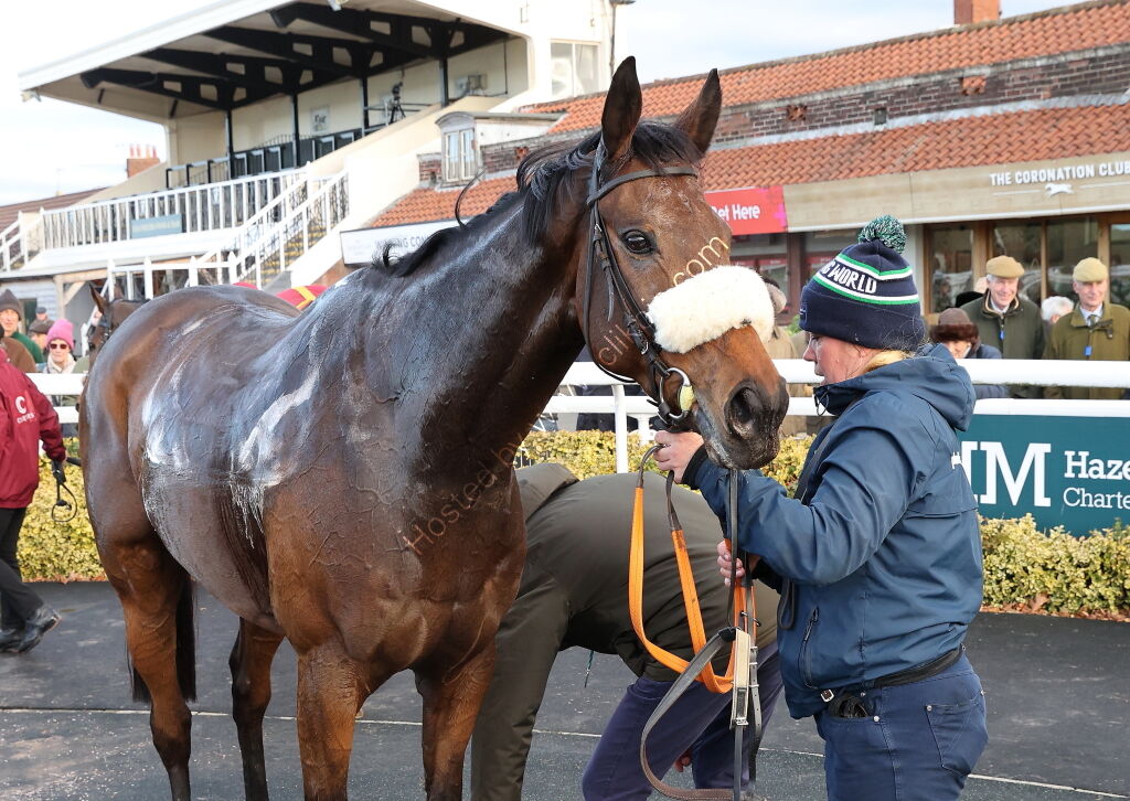 Warwick British Breeding Veterans' H'cap Chase