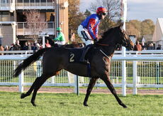 GB Bonus Breeders' Day Mares' Nov Hurdle