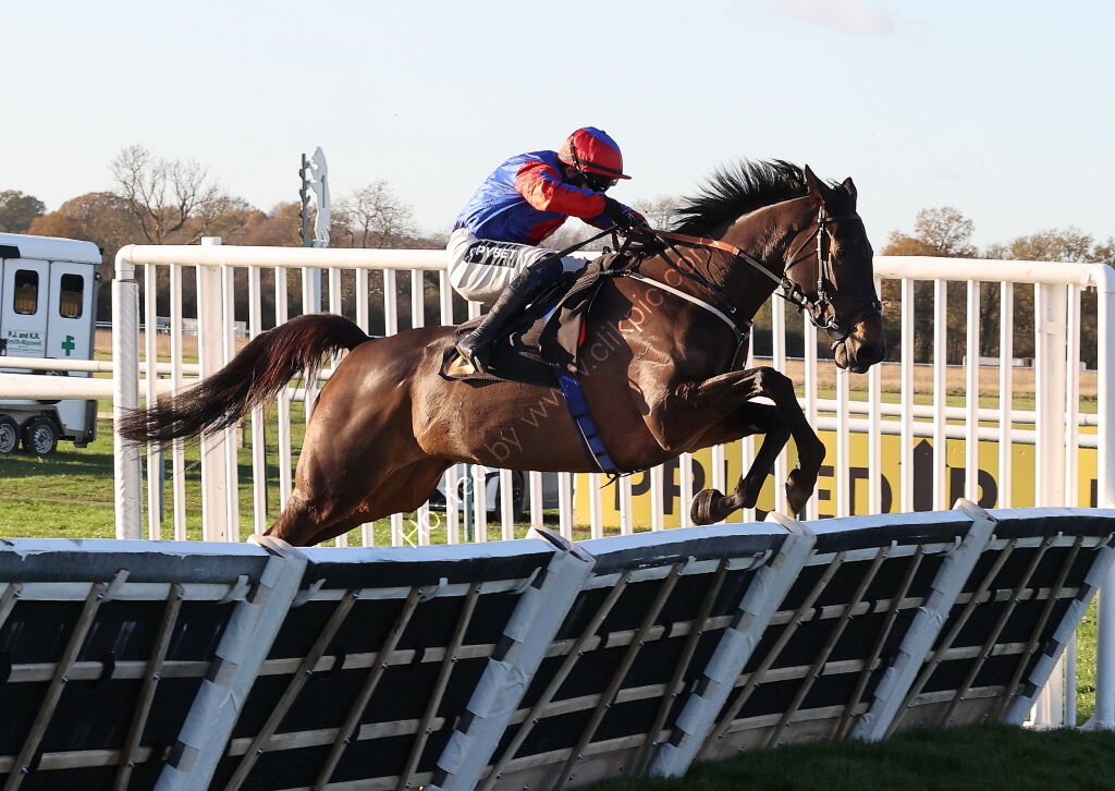 GB Bonus Breeders' Day Mares' Nov Hurdle