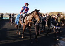 GB Bonus Breeders' Day Mares' Nov Hurdle