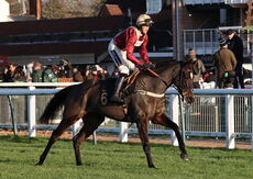 Pricedup  Mares' H'cap Chase