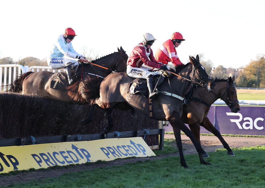 Pricedup  Mares' H'cap Chase