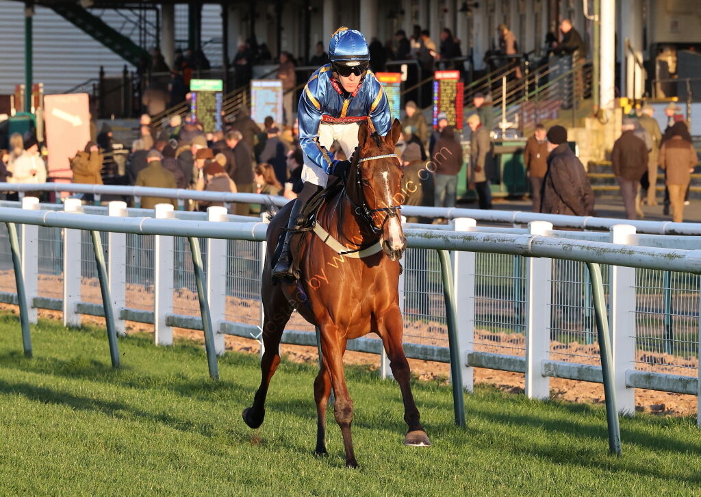 TBA Breders' Day Mares' Open NH Flat Race