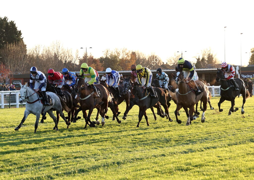 TBA Breders' Day Mares' Open NH Flat Race