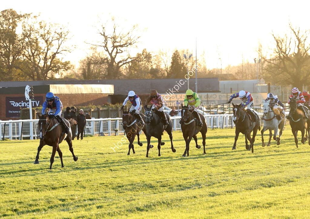 TBA Breders' Day Mares' Open NH Flat Race
