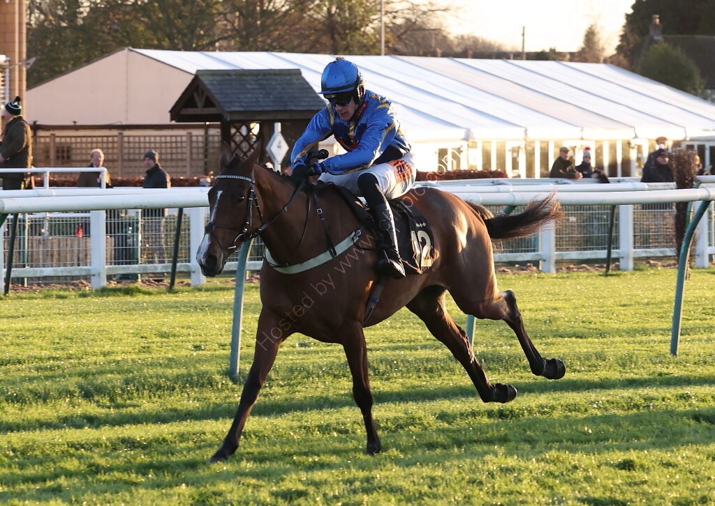 TBA Breders' Day Mares' Open NH Flat Race