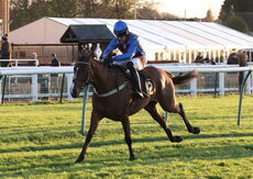 TBA Breders' Day Mares' Open NH Flat Race