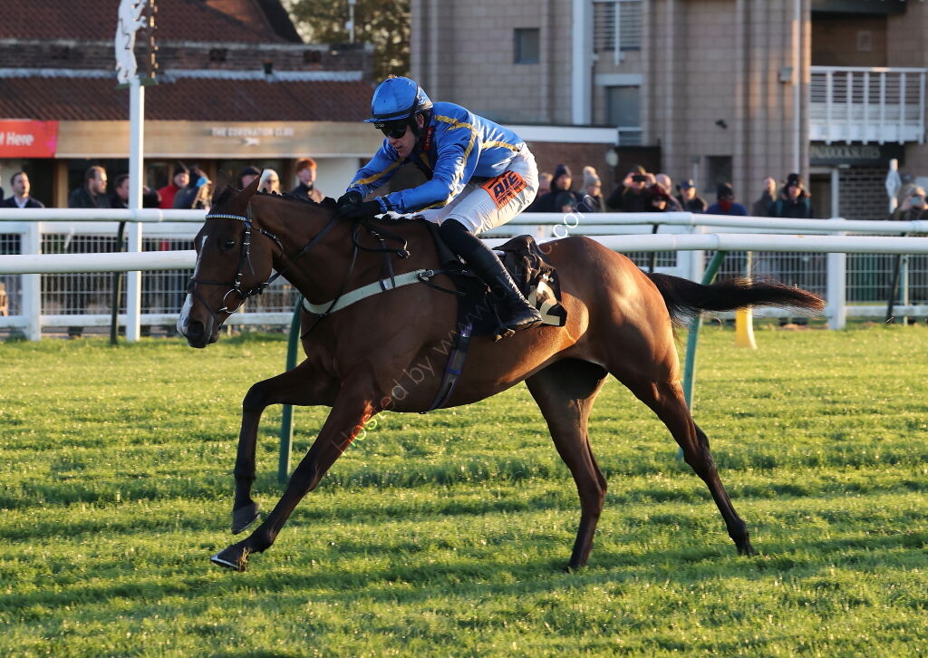 TBA Breders' Day Mares' Open NH Flat Race