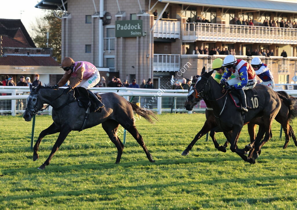 TBA Breders' Day Mares' Open NH Flat Race