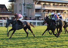 TBA Breders' Day Mares' Open NH Flat Race