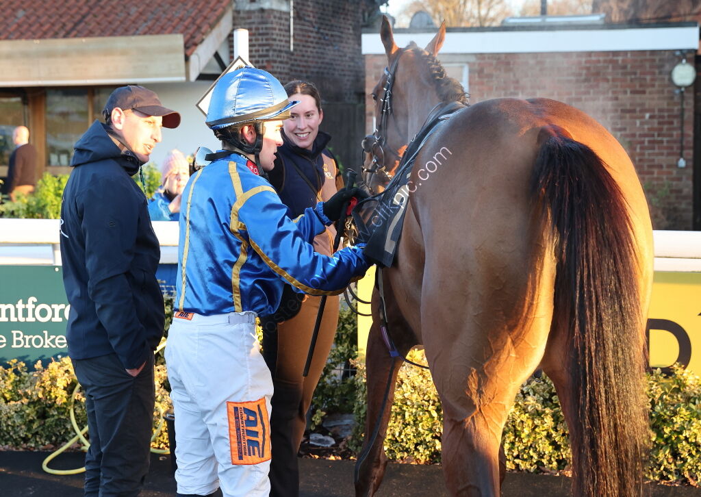 TBA Breders' Day Mares' Open NH Flat Race
