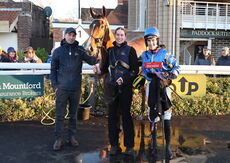 TBA Breders' Day Mares' Open NH Flat Race